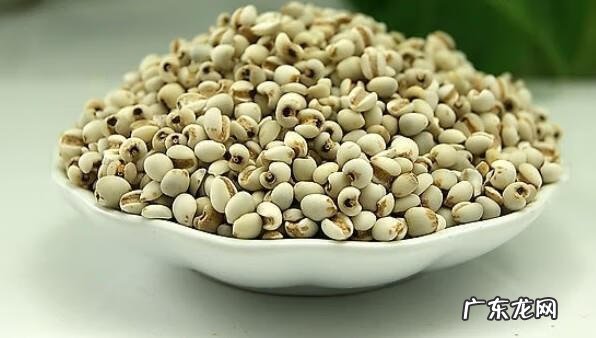 薏仁有什么作用 薏仁的功效和作用