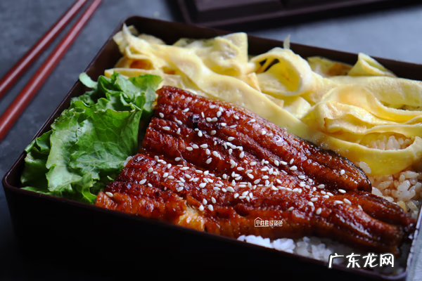 鳗鱼种类图片大全集 鳗鱼饭