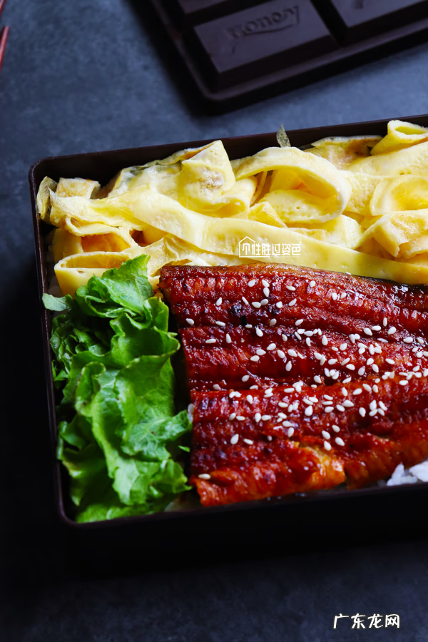 鳗鱼种类图片大全集 鳗鱼饭