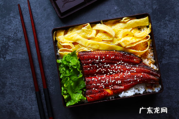 鳗鱼种类图片大全集 鳗鱼饭