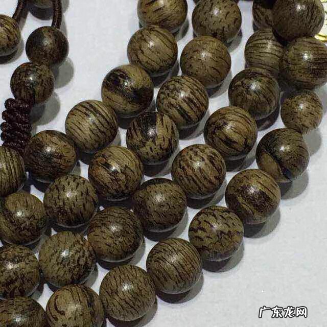 各种沉香图片大全 沉香树风水作用