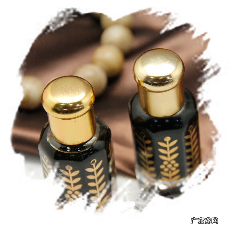 各种沉香图片大全 沉香树风水作用