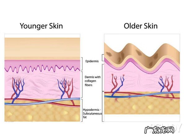 消除颈纹的七个好方法 消除颈纹