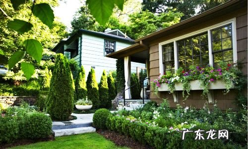 院子种核桃树的风水禁忌 核桃树在风水中的作用