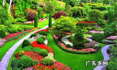 院子种核桃树的风水禁忌 核桃树在风水中的作用