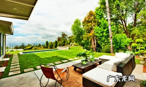 院子种核桃树的风水禁忌 核桃树在风水中的作用