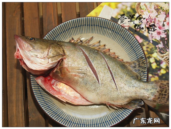 如何红烧桂鱼 如何做红烧桂鱼