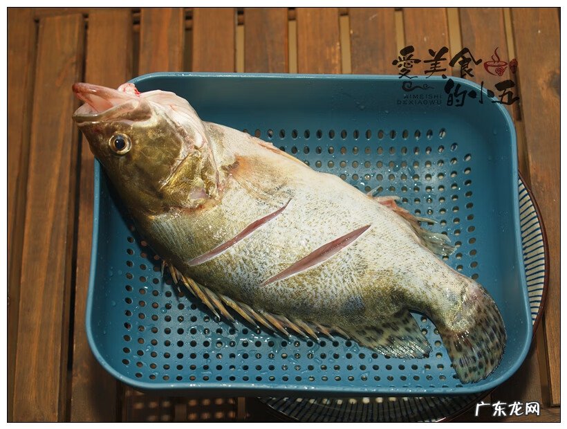 如何红烧桂鱼 如何做红烧桂鱼