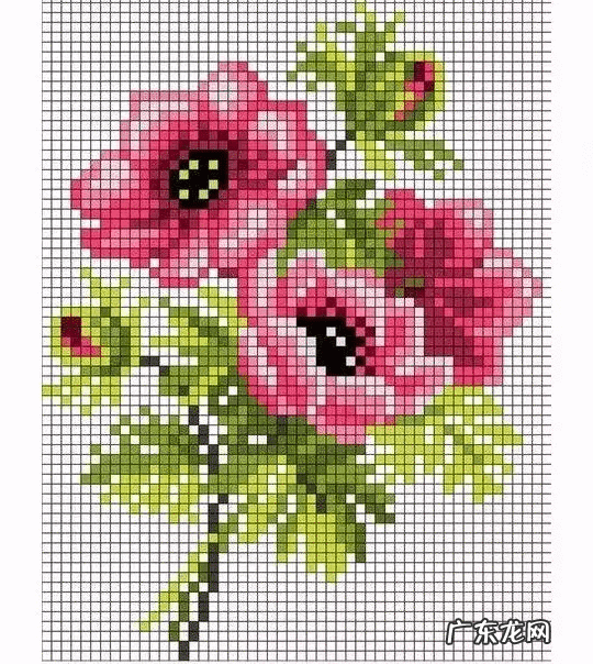 盖菜的罩子不锈钢有多大 盖菜罩叫什么