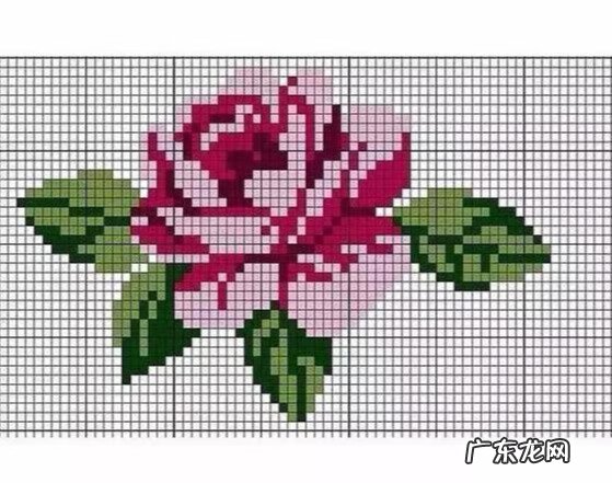 盖菜的罩子不锈钢有多大 盖菜罩叫什么