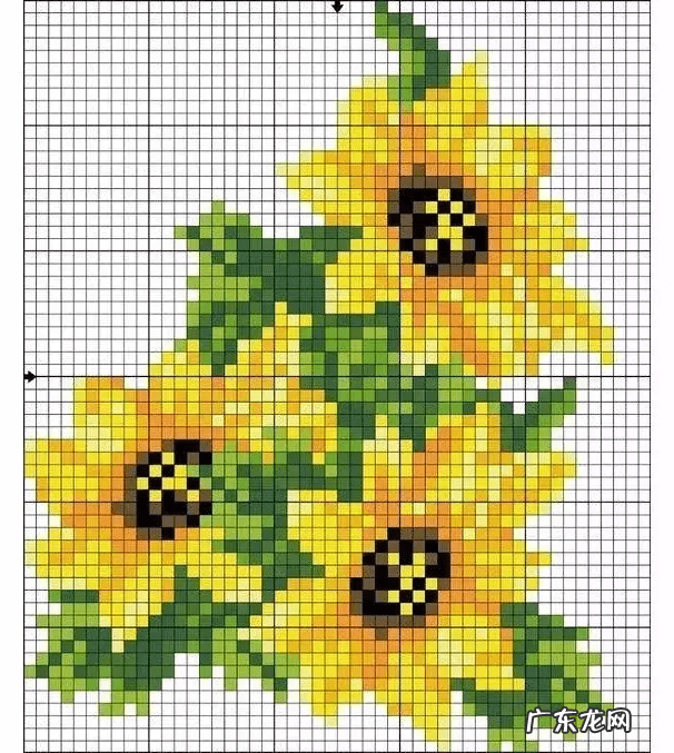 盖菜的罩子不锈钢有多大 盖菜罩叫什么