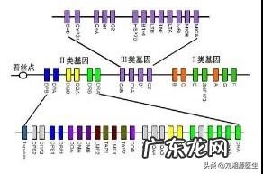 封闭抗体弱阳性需要治疗吗 封闭抗体弱阳性怎么办