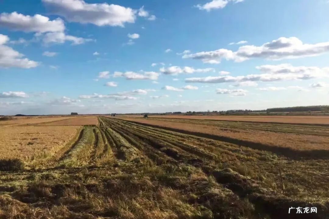 鹤岗好吗 鹤岗风水先生