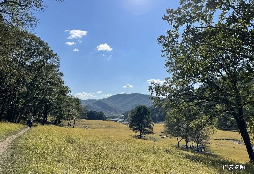 鹤岗好吗 鹤岗风水先生