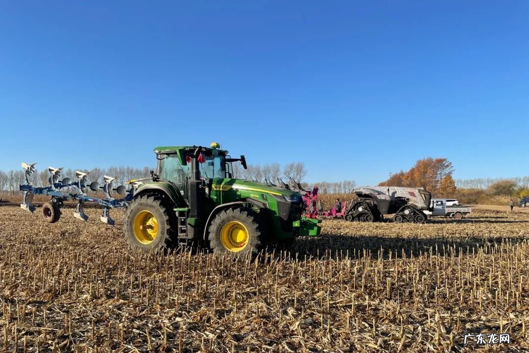 鹤岗好吗 鹤岗风水先生