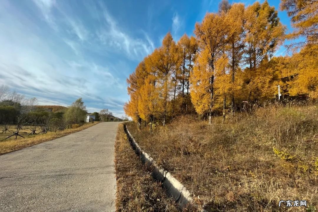 鹤岗好吗 鹤岗风水先生