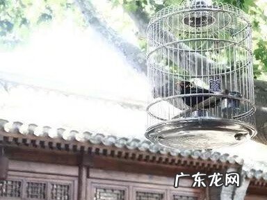 农村四合院风水100例 四合院风水有这些讲究