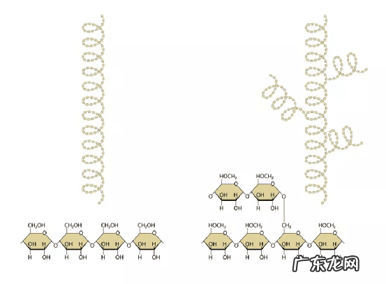 元宵和汤圆的区别在于什么 汤圆和元宵的区别有什么不同