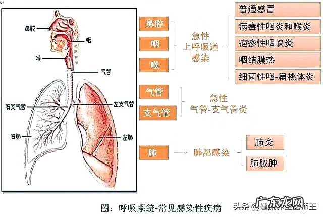 急性上呼吸道感染症状 急性上呼吸道感染是什么意思