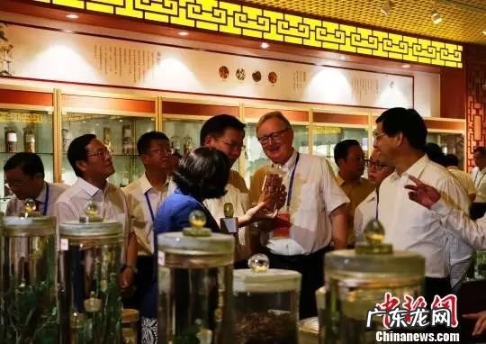 广西陆川县公安网 广西陆川县风水留题地