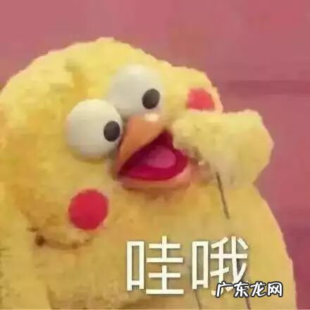 广西陆川县公安网 广西陆川县风水留题地