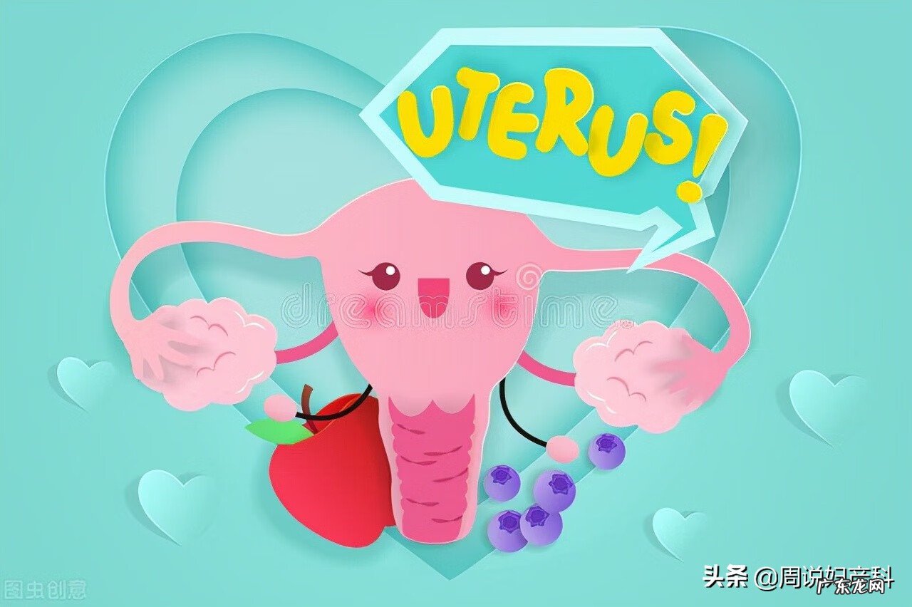 子宫有哪些检查 子宫检查做什么检查