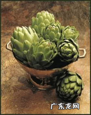 怎样养肝护肝排毒 护肝片