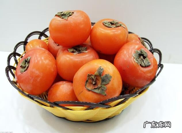 吃了柿子不可以吃什么食物 吃了柿子不能吃什么东西?