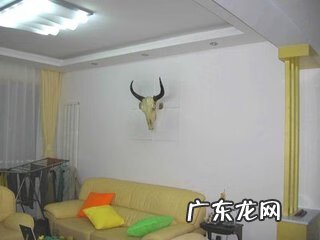 户型狭长的房子风水 客厅狭长风水