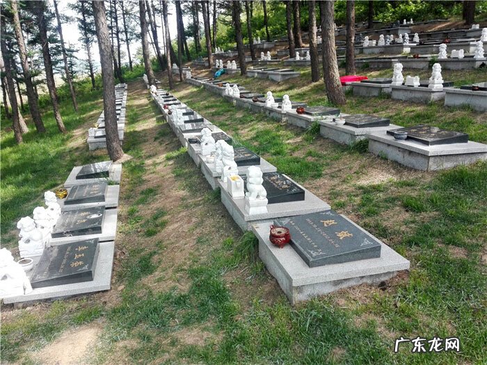 狮子开口可以葬到口中吗 风水狮子地葬法大全