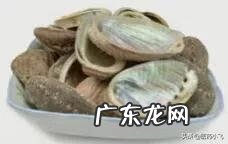 石决明是什么 石决明的作用是