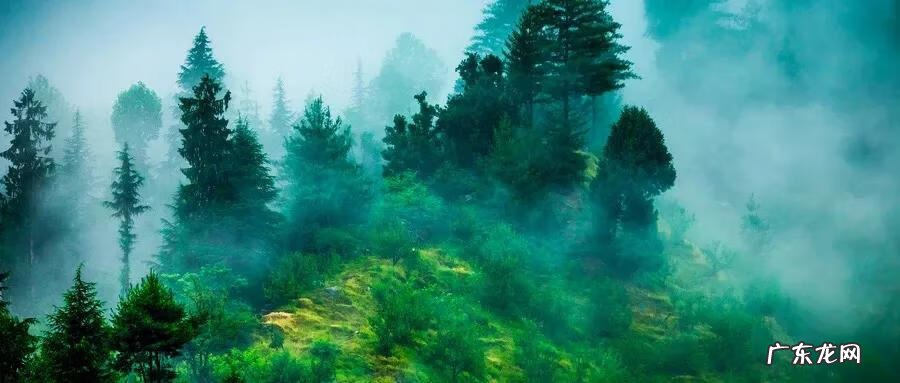 龙泉驿区小区大全 龙泉驿区家居风水