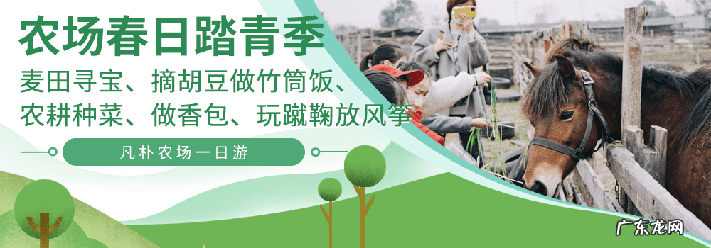 婴儿洗衣液哪种最安全 儿童洗衣液哪个牌子好