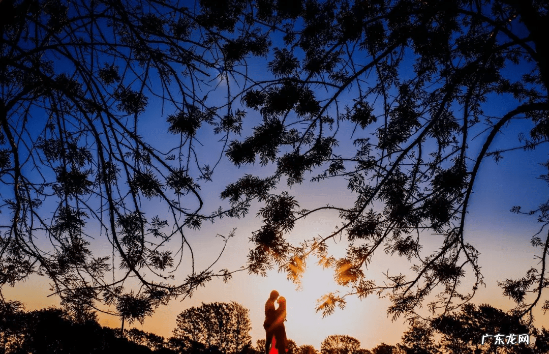 北漂的女人 北漂女人的风水