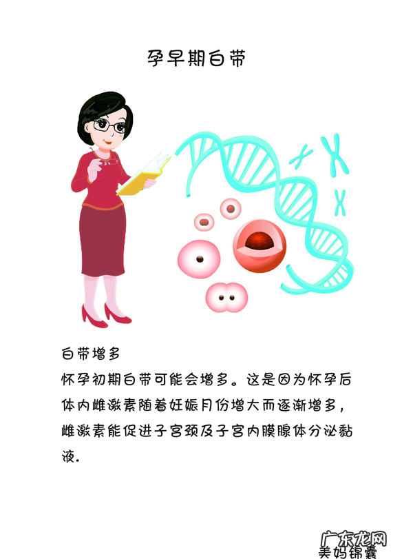 早期孕妇应该注意些什么 怀孕早期 注意事项