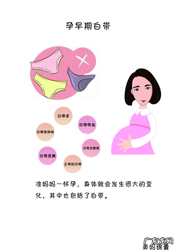 早期孕妇应该注意些什么 怀孕早期 注意事项