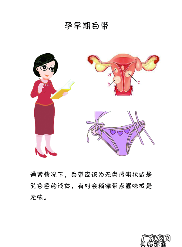 早期孕妇应该注意些什么 怀孕早期 注意事项