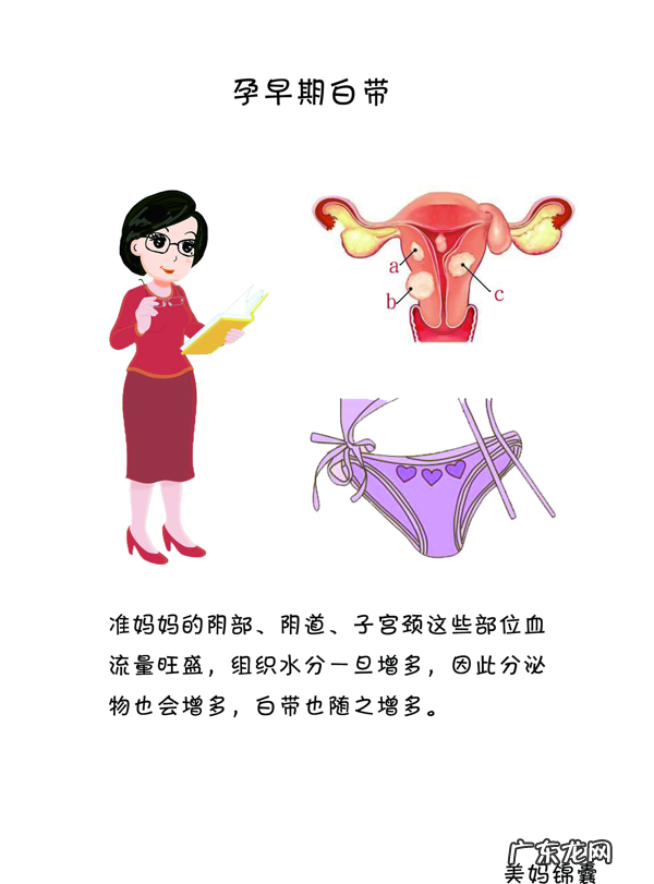 早期孕妇应该注意些什么 怀孕早期 注意事项