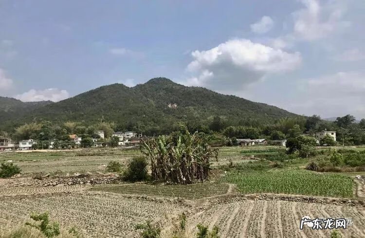 怎么看住宅风水宝地 生龙口风水宝地