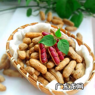 哪些食物催乳 催奶的食物有哪些