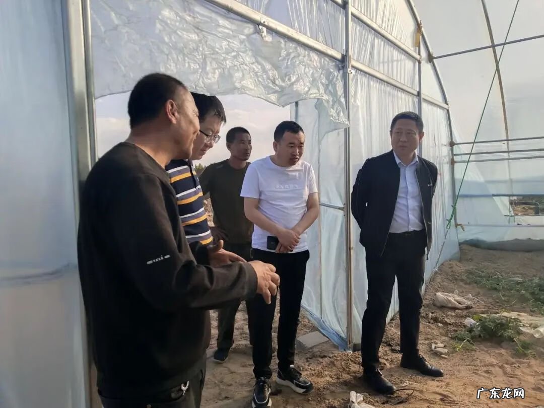 元宝山区最新规划情况 元宝山区风水沟镇政府