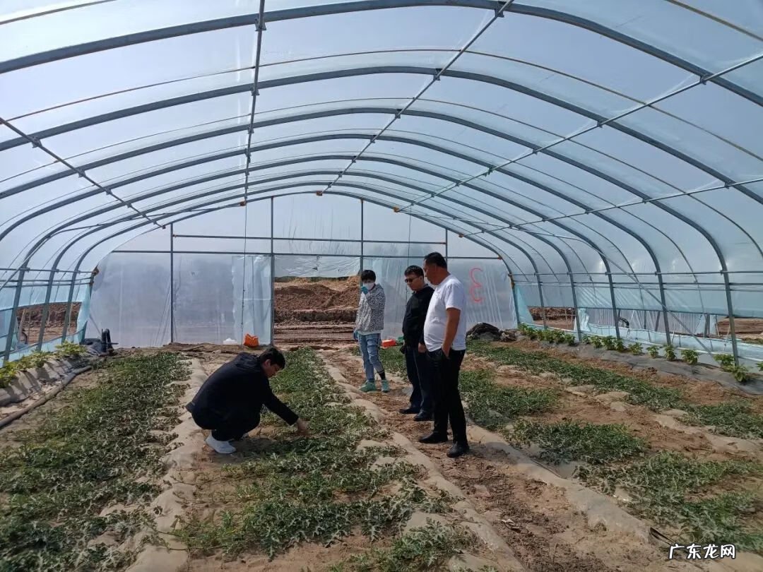 元宝山区最新规划情况 元宝山区风水沟镇政府