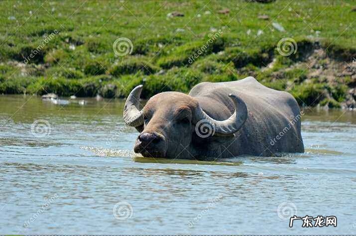山区房屋风水知识 山区住房风水如何看地形