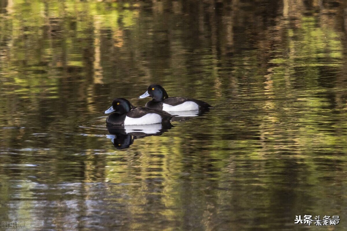 石山风水 大石头风水