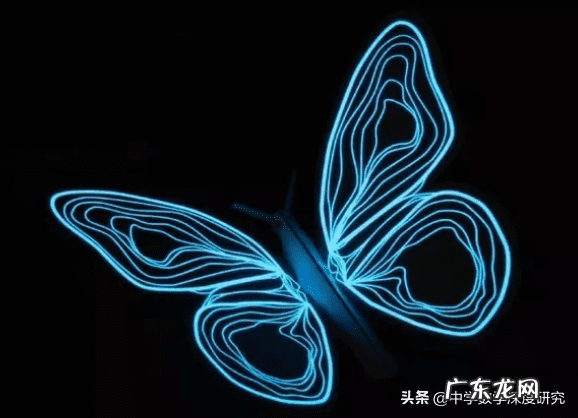 混沌理论公式 混沌理论与风水