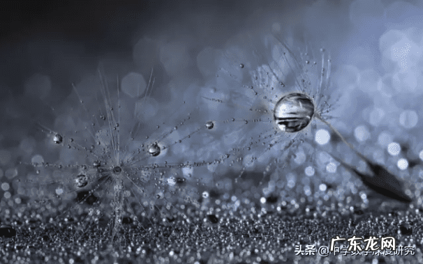 混沌理论公式 混沌理论与风水