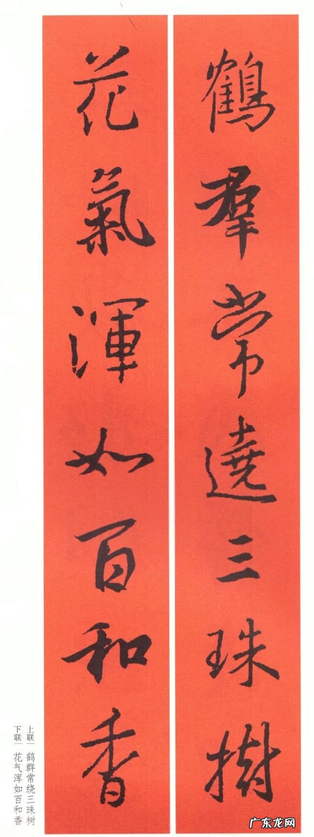 如何夸奖对联写得好 赞风水先生的对联