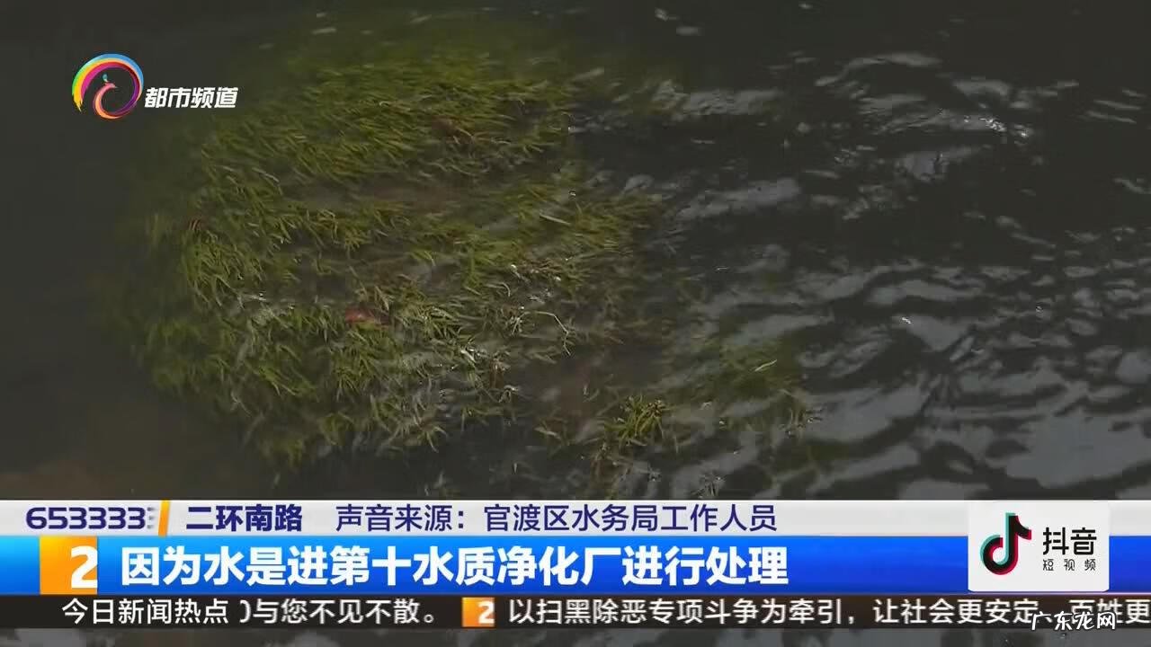 家里的水突然变浑浊 变浑浊是怎么回事