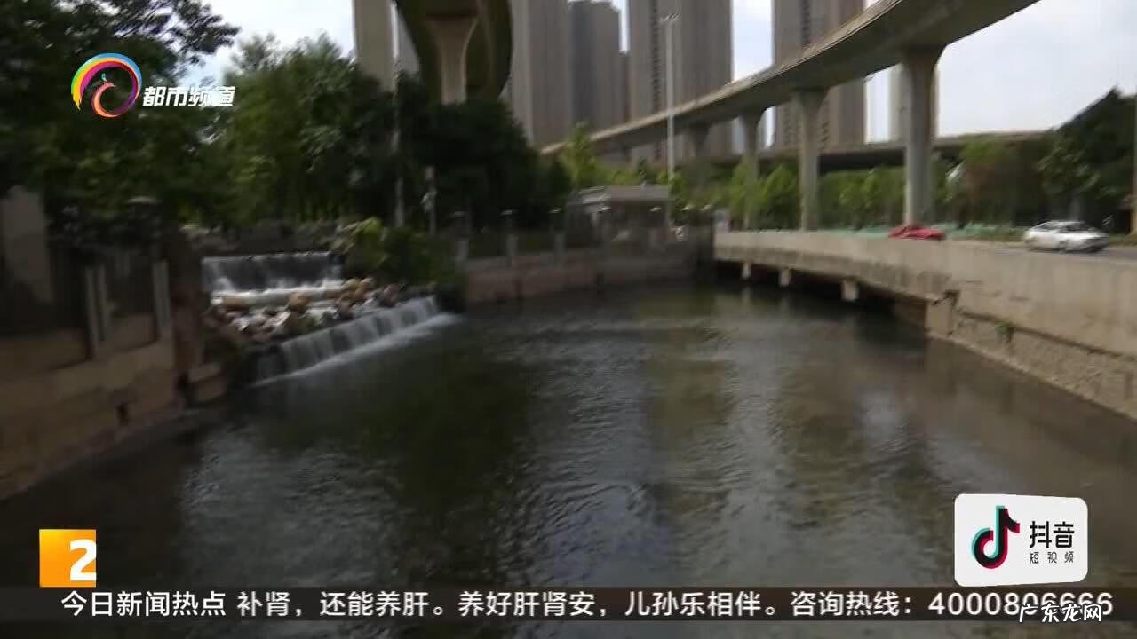 家里的水突然变浑浊 变浑浊是怎么回事