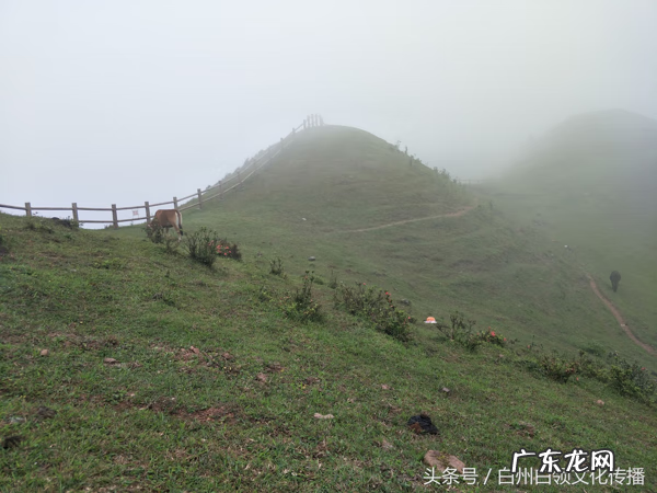 梧州有个什么强看风水的 梧州市风水